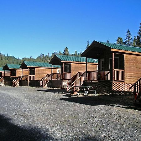 Yosemite Lakes Cabin 37 Harden Flat Esterno foto