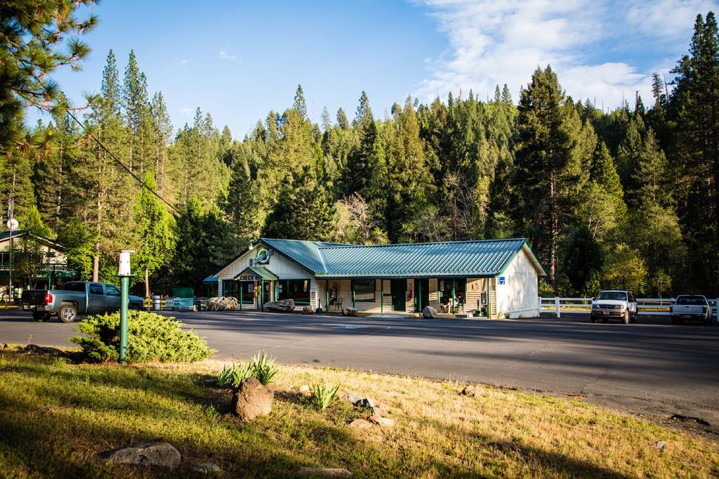 Yosemite Lakes Cabin 37 Harden Flat Esterno foto