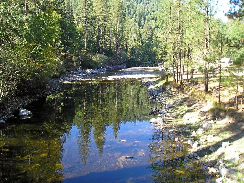 Yosemite Lakes Cabin 37 Harden Flat Esterno foto